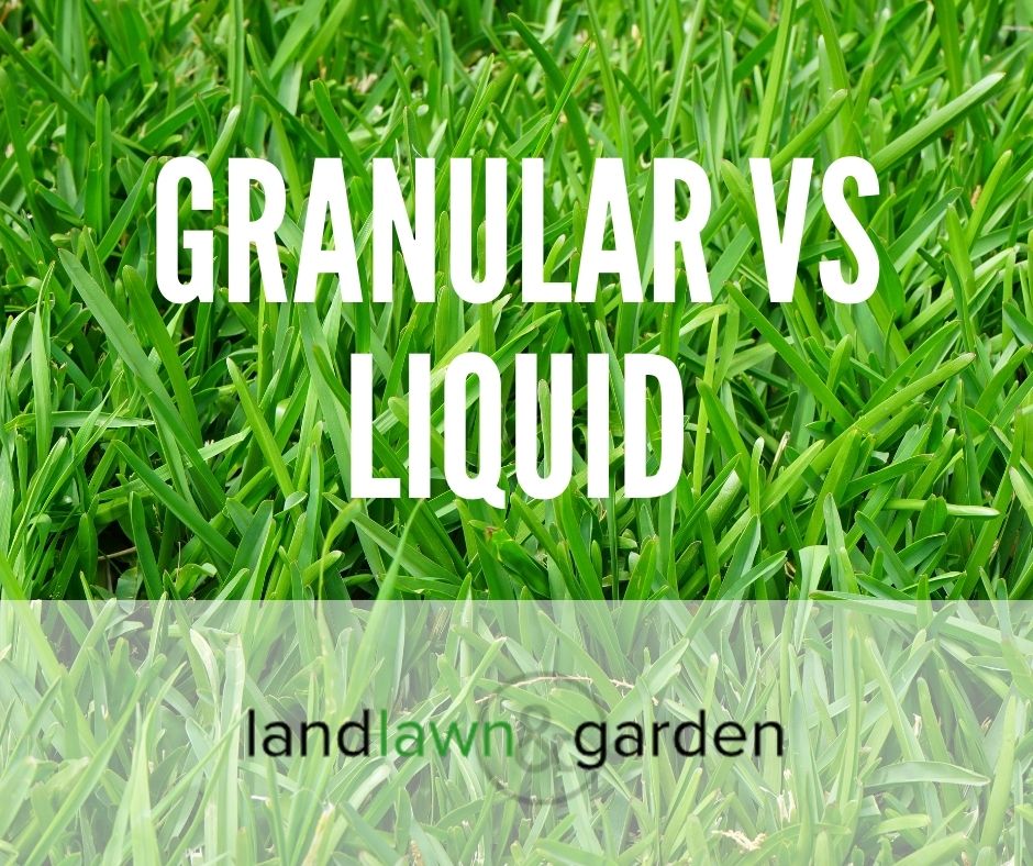 Liquid Vs Granular Lawn Fertilizer (Which Is Better?)