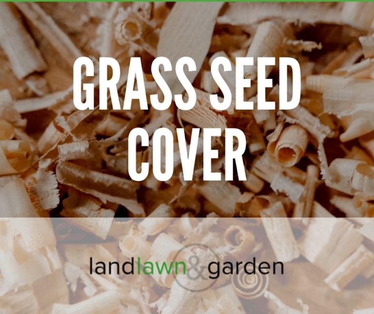 Best Thing To Cover Grass Seed On The Cheap   Grass Seed Cover Tile 768x644 