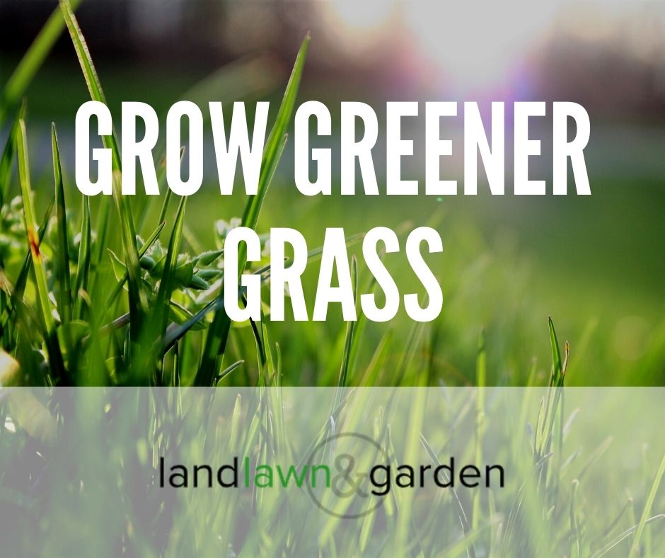 How to get green grass 10 landscaper secrets revealed 