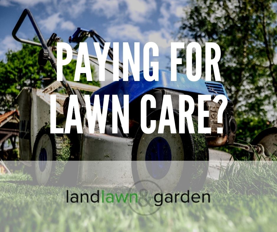 is-it-worth-paying-for-lawn-care-detailed-breakdown