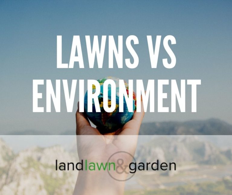 why-are-lawns-bad-for-the-environment-and-what-to-do-about-it