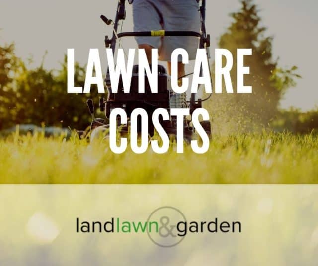 How Much Does A Lawn Cost? (Lawn Care Costs 101)