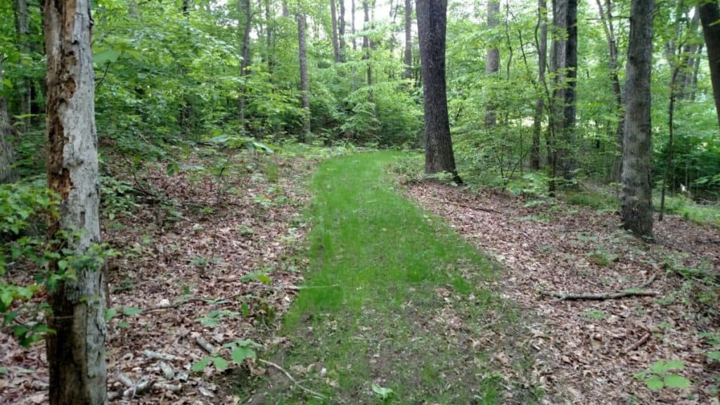 Throw grow food plot